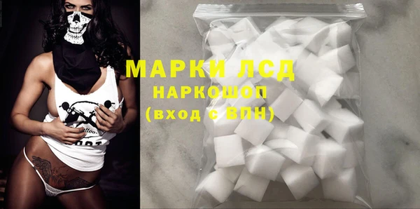 стаф Верея