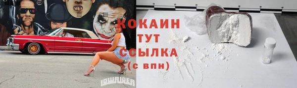 стаф Верея