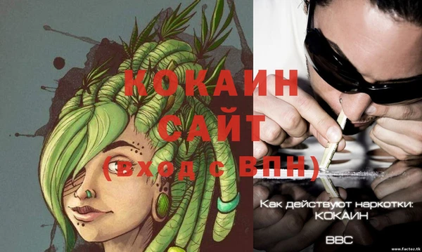 крисы Бронницы