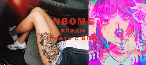 стаф Верея