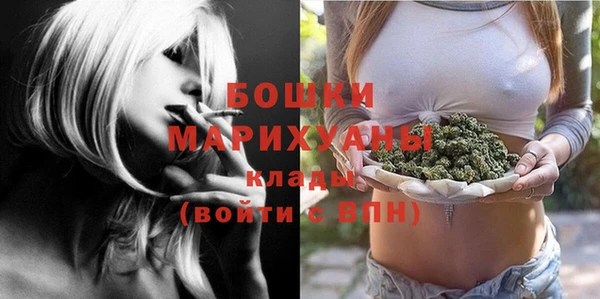 стаф Верея