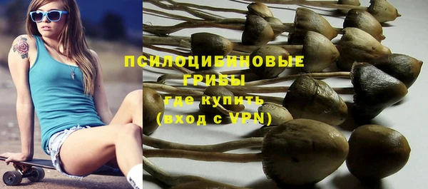 винт Верхний Тагил