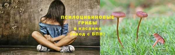 стаф Верея